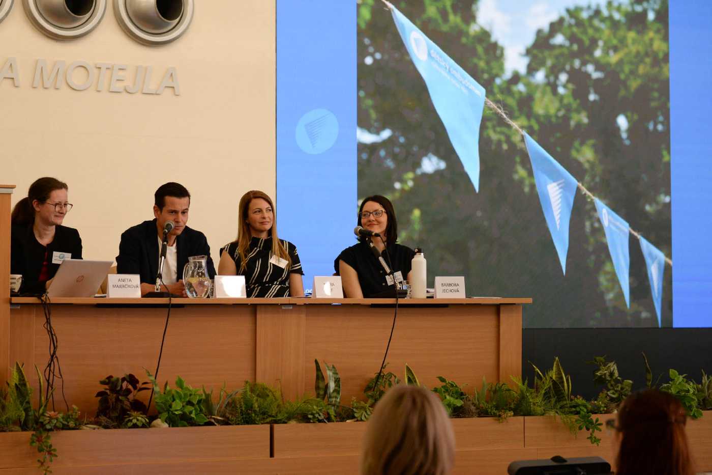 Setkání dětského ombudsmana se zástupci neziskovek, záběr na přednášející.