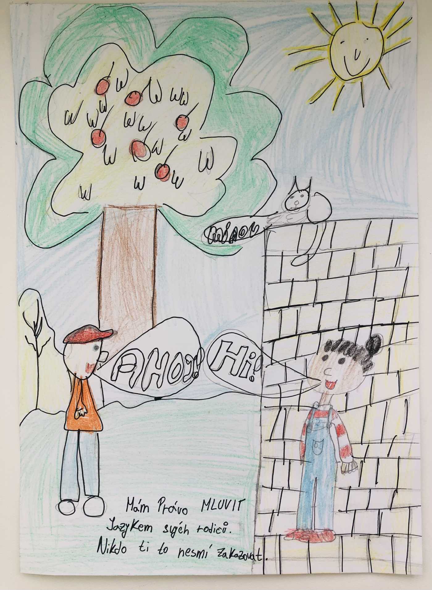 soutěžní příspěvek - plakát